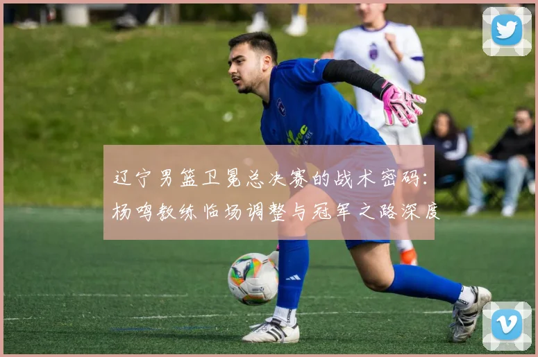 辽宁男篮卫冕总决赛的战术密码：杨鸣教练临场调整与冠军之路深度解析