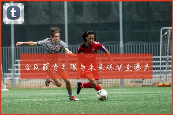合同薪资年限与未来规划全曝光